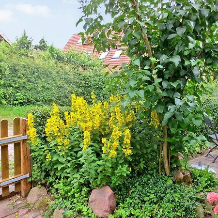 Ferienhaus Gruenow